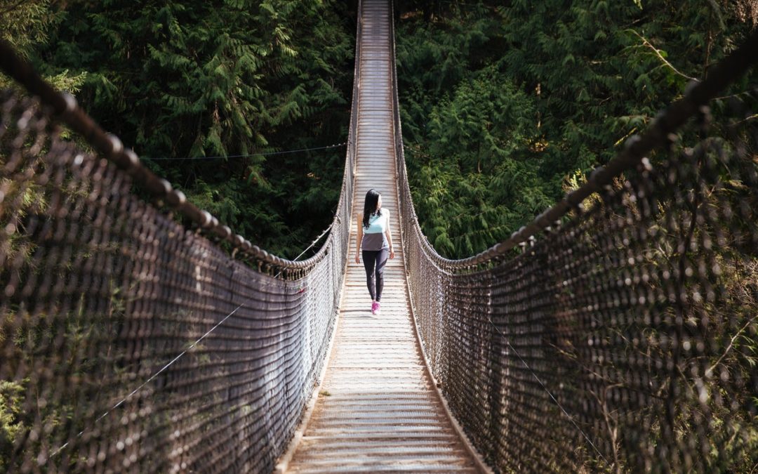 Joyful Play, The Bridge Across Burnout