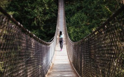 Joyful Play, The Bridge Across Burnout