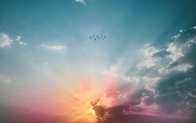 “Stop Pushing, Start Trusting: The Power of Surrender”